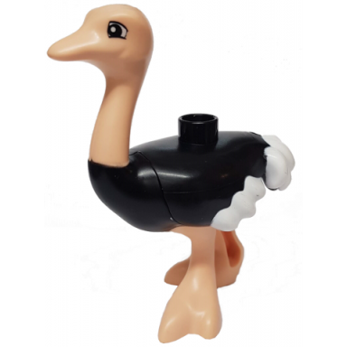 black duplo ostrich