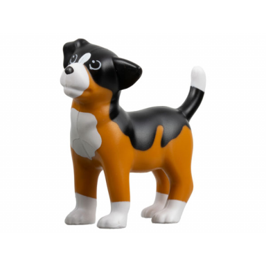 earth orange dog scala puppy with black back and white chest feet and muzzle pattern sniff