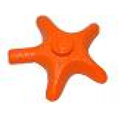starfish sea star