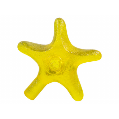 trans-yellow starfish sea star