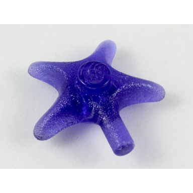 trans-purple starfish sea star