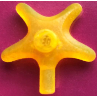 trans-neon yellow starfish sea star