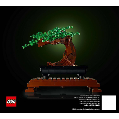 bonsai tree