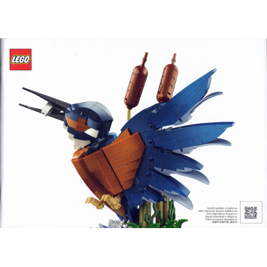 kingfisher bird