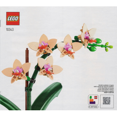 mini orchid