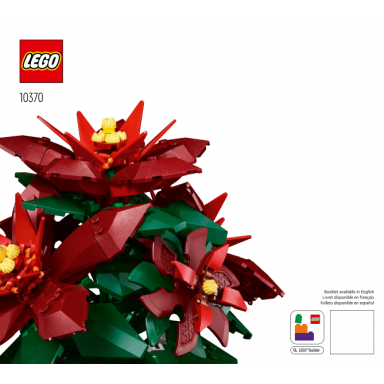 poinsettia