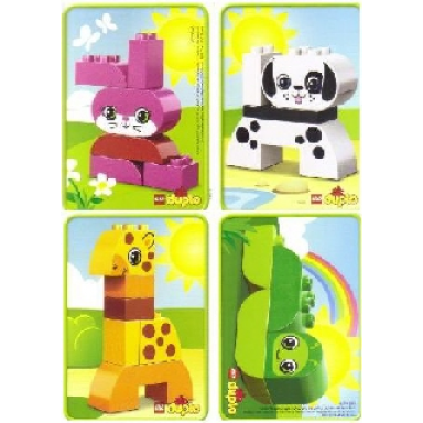 creative animals