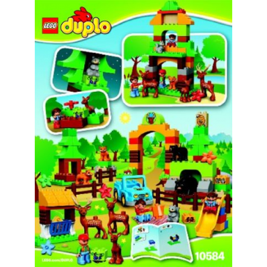 forest: park