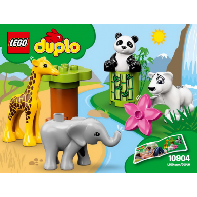baby animals