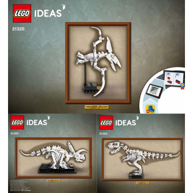 dinosaur fossils