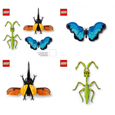the insect collection
