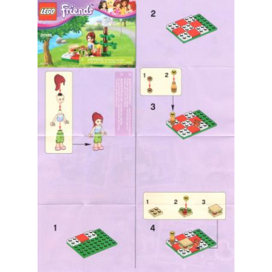 summer picnic polybag