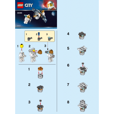 satellite polybag