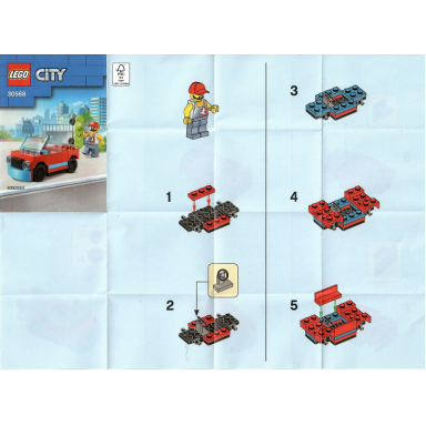 skater polybag