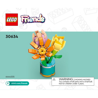 friendship flowers polybag