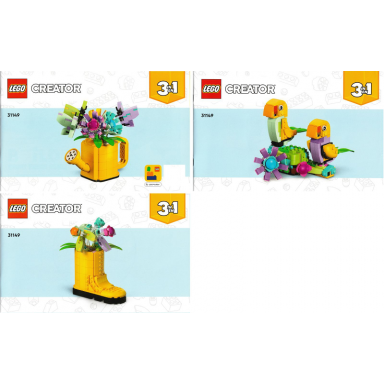 flowers in watering can
