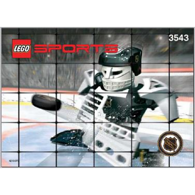 slammer goalie