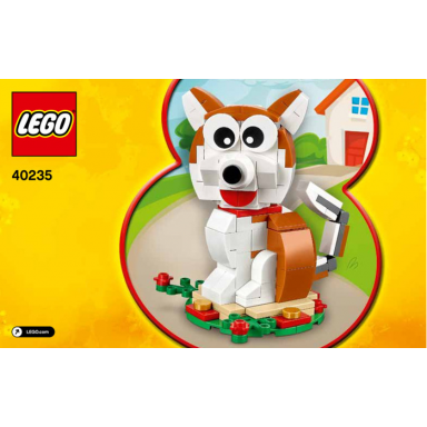 year of the dog