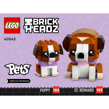 st bernard