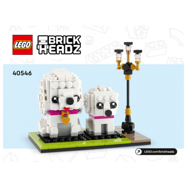 poodle