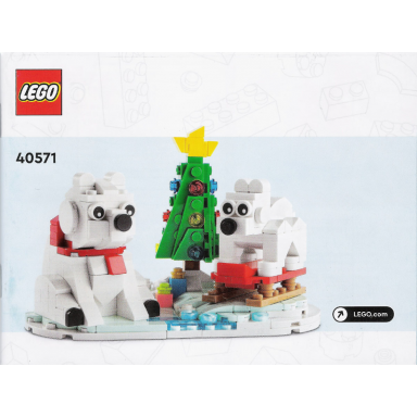 wintertime polar bears