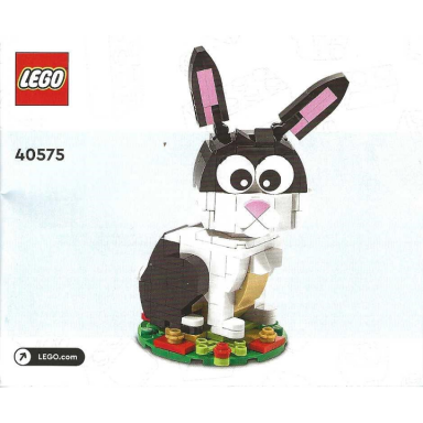 year of the rabbit