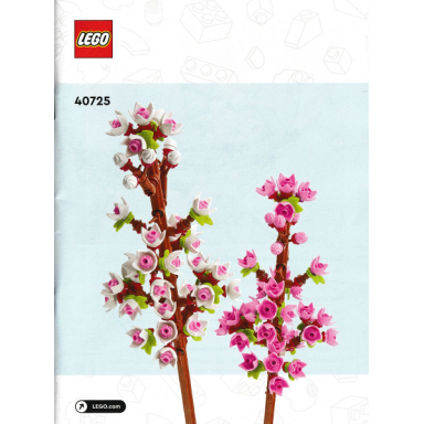 cherry blossoms