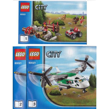 cargo heliplane