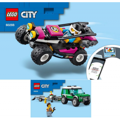 race buggy transporter