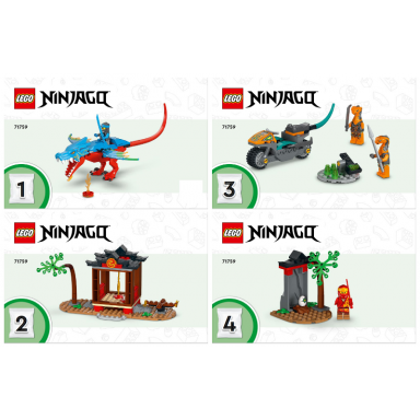 ninja dragon temple