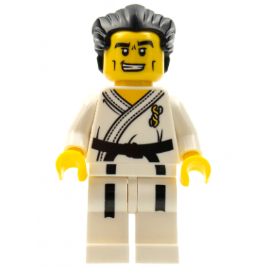 karate master series 2 minifigure only without stand and accessories