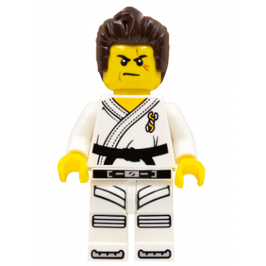 warrior - male karate dress with black belt dark brown hair scarred eye