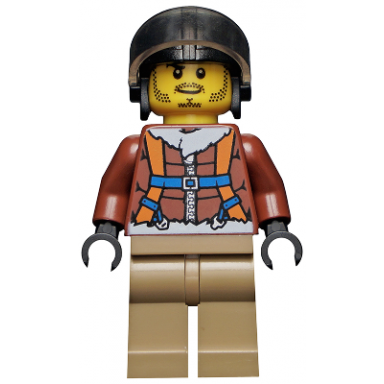 arctic plane pilot