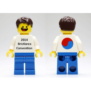 brickorea 2014 minifigure