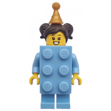 birthday brick suit girl
