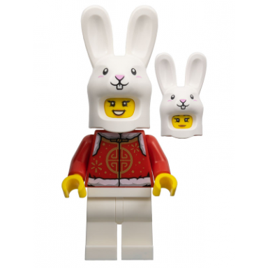 year of the rabbit girl