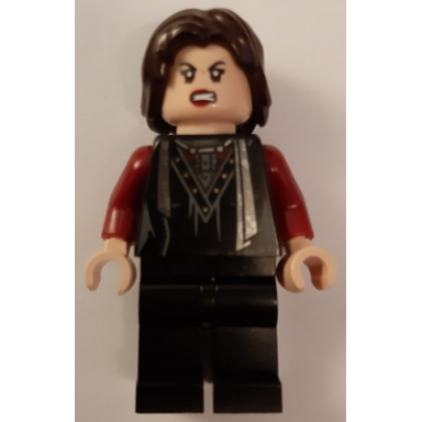 nymphadora tonks - dark brown hair
