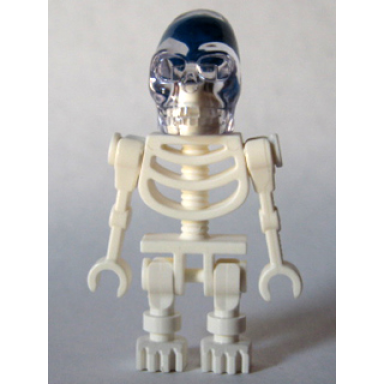 akator skeleton