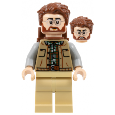dr henry loomis