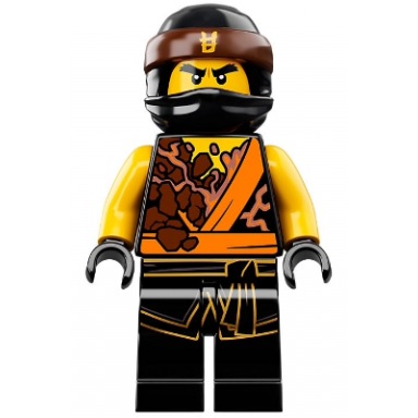 cole spinjitzu masters - sons of garmadon