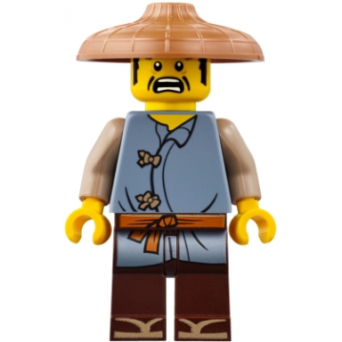 ray conical hat