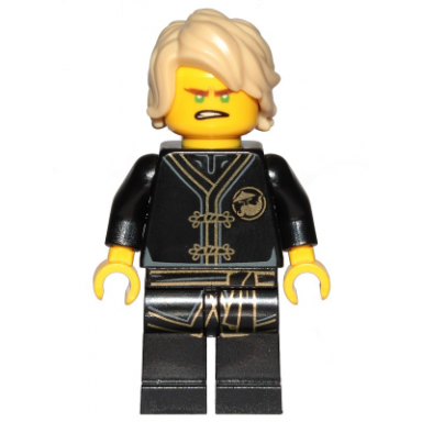 lloyd - black wu-cru training gi