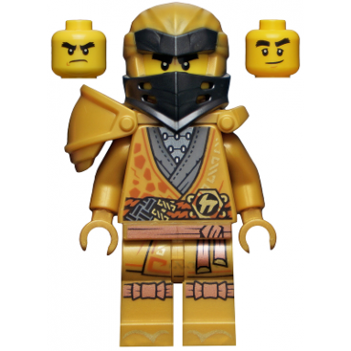 cole - 10th anniversary golden ninja