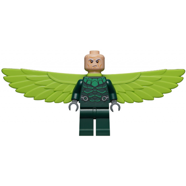 the vulture