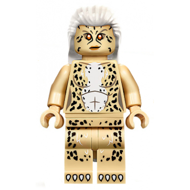 cheetah dr barbara minerva