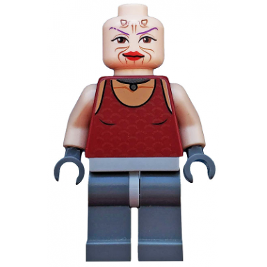 sugi