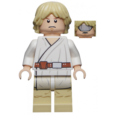 luke skywalker tatooine gray visor on reverse of head