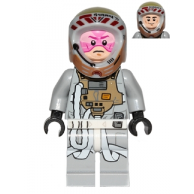 gray squadron pilot horton salm