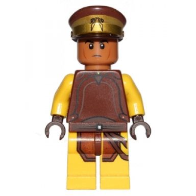 naboo security guard