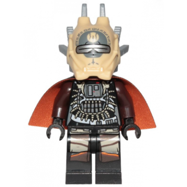 enfys nest